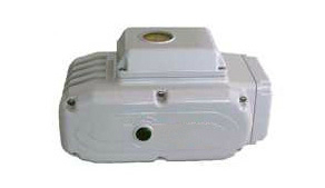 電動執(zhí)行器